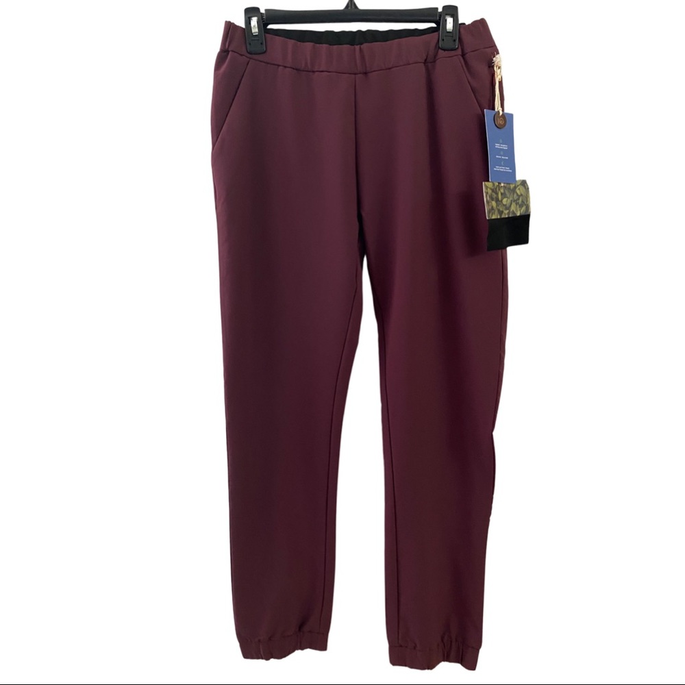 NWT Tentree Destination Pant in Merlot Red